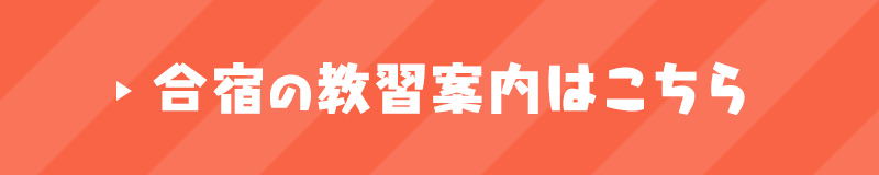 合宿の教習案内はこちら